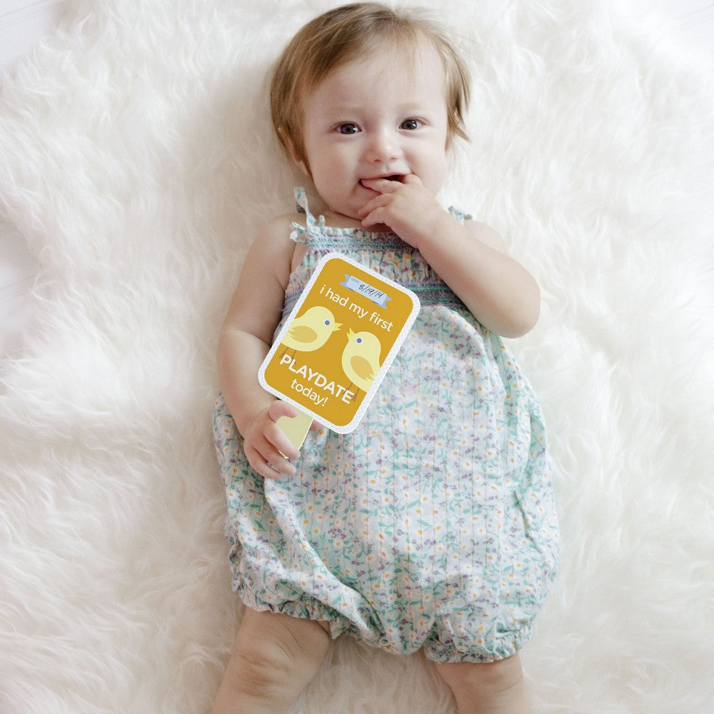 Pearhead Baby's Ice Pop Milestone Cards