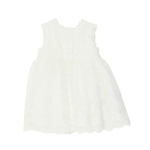 Bebe Lace Overlay Dress (Size 000-1)