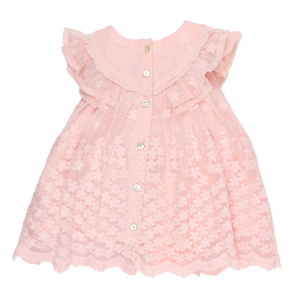 Bebe Frill Sleeve Lace Dress in Pink