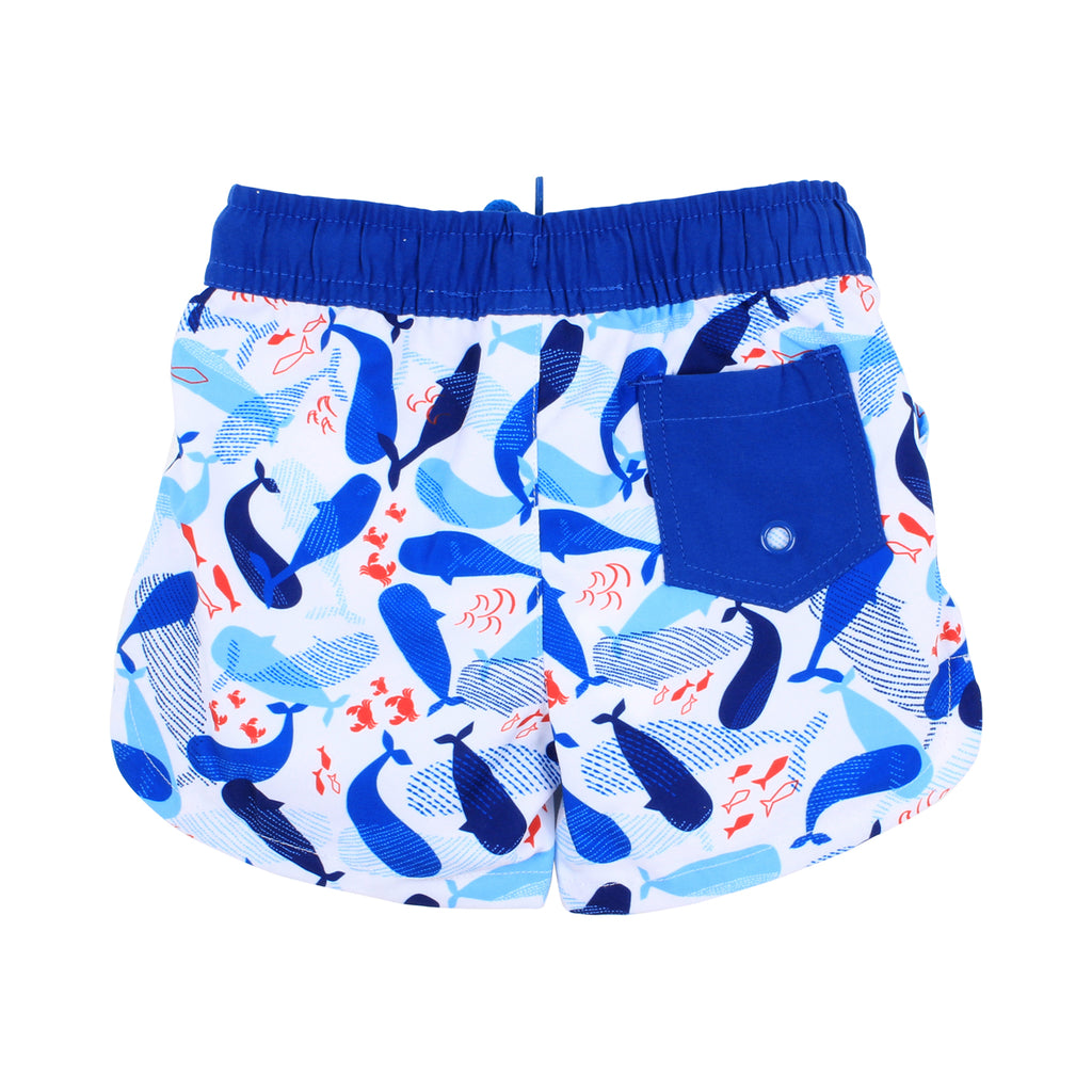 Bebe Cody Bordshorts (Size 3-7)