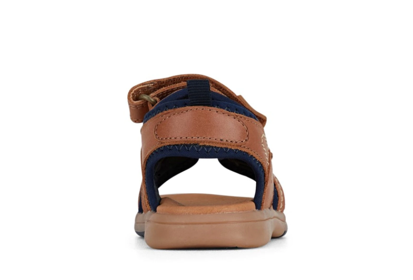 Clarks KOBE in Tan/Navy(Size EU 20-31)