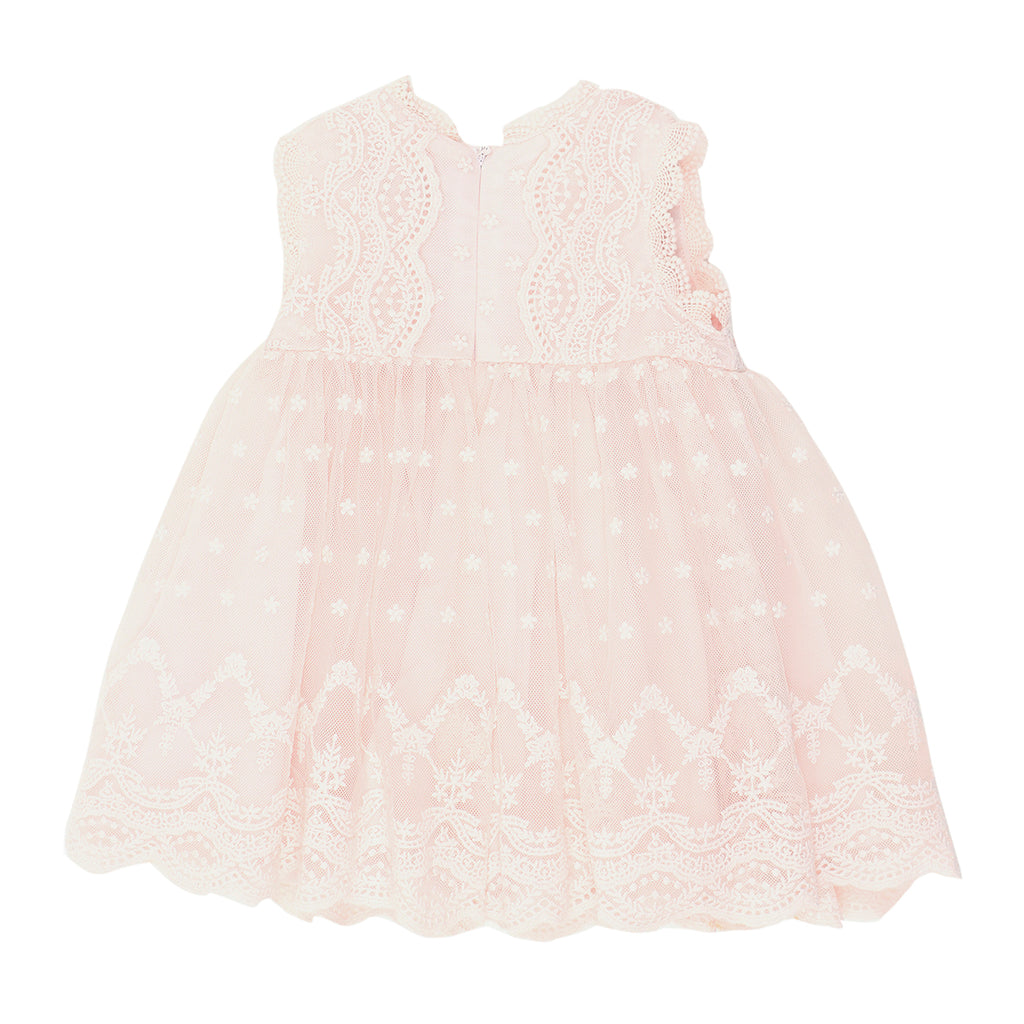 Bebe Blush Lace Dress XS18-818BL